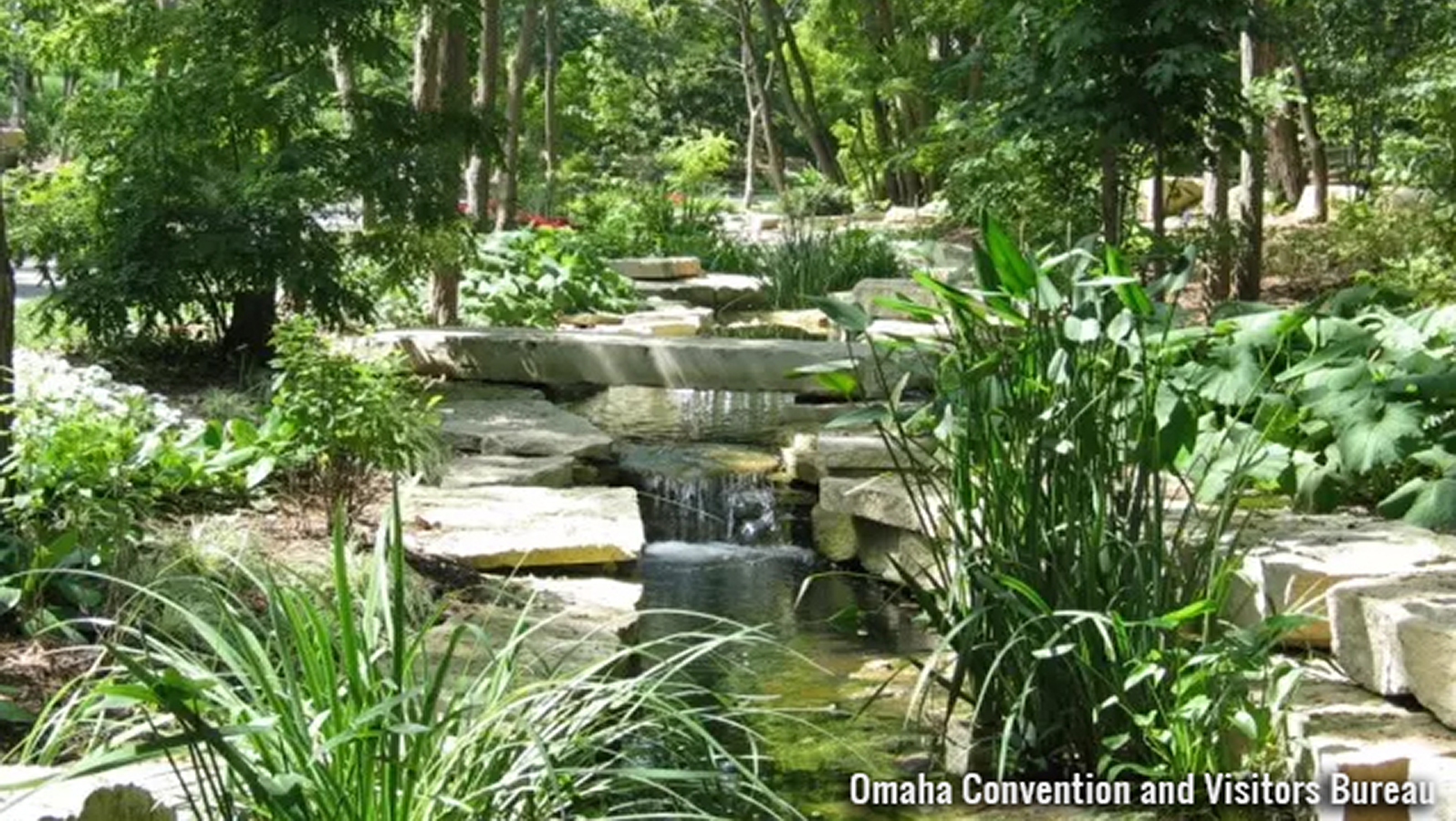 exterior of a park stream