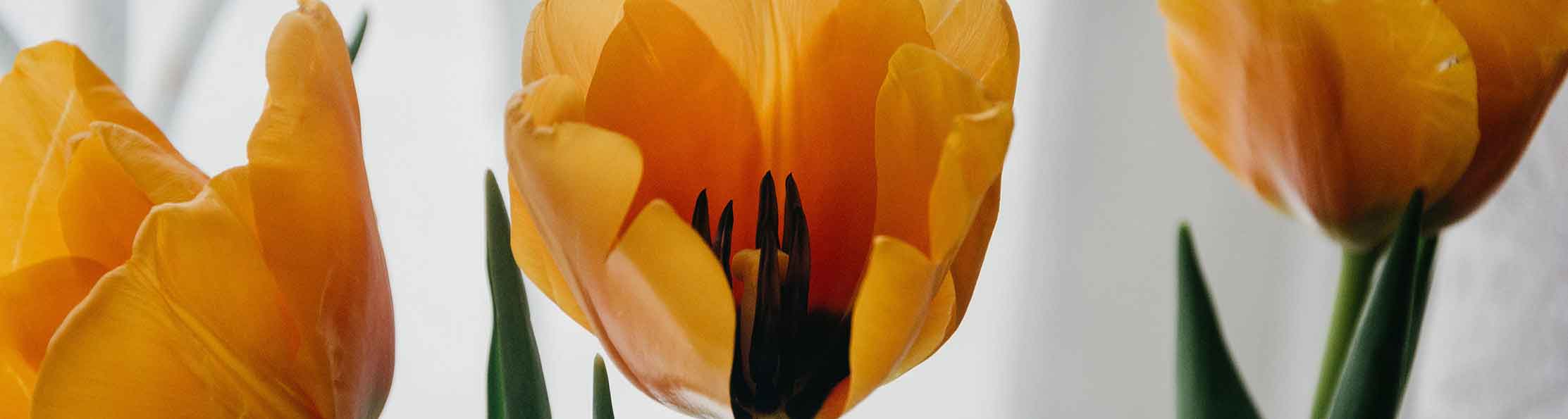 Easter Brunch, Heidel House Resort & Spa, Green Lake WI