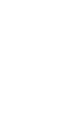 saint kate logo