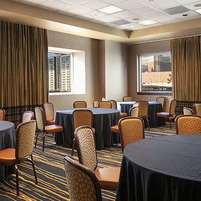 Platinum opal room | The Platinum Hotel Meeting Rooms