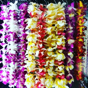 Thumbnail for Aloha Fridays